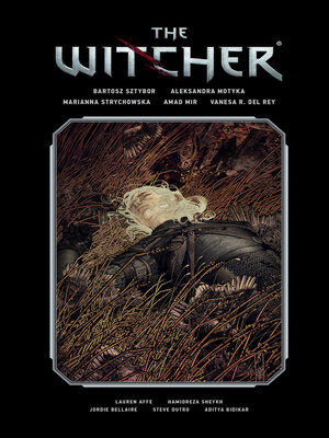 cover image of The Witcher, Volume 2